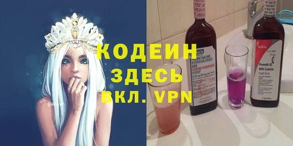 мдпв Костерёво