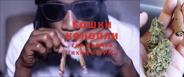 мдпв Костерёво