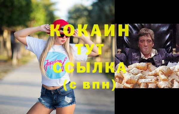mdpv Коряжма