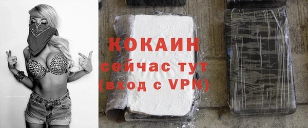 мдпв Костерёво