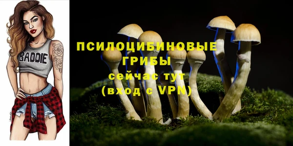 мдпв Костерёво