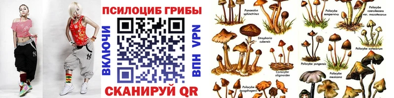 Галлюциногенные грибы Psilocybine cubensis  Купить закладки  Дмитриев 